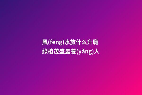 風(fēng)水放什么升職 綠植茂盛最養(yǎng)人